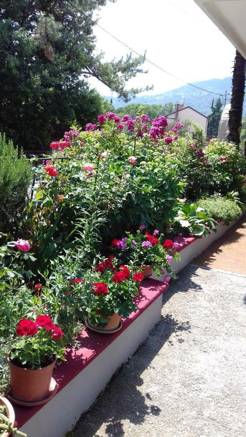 מטולי Apartman & Soba Skarica מראה חיצוני תמונה
