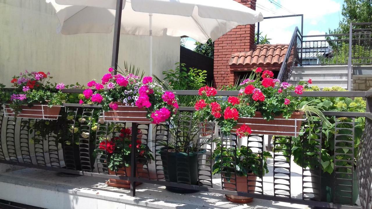 מטולי Apartman & Soba Skarica מראה חיצוני תמונה